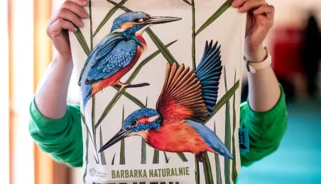 Toruń liderem dostarczania czystego powietrza, 1.04.2026