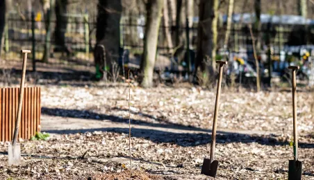 Toruń liderem dostarczania czystego powietrza, 1.04.2026
