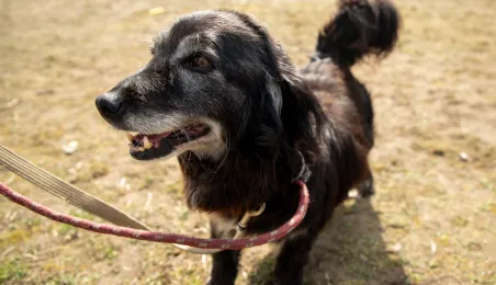 Święconka w kasku – wielkanocna tradycja na dwóch kołach