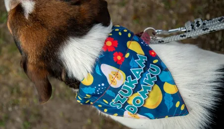 Święconka w kasku – wielkanocna tradycja na dwóch kołach