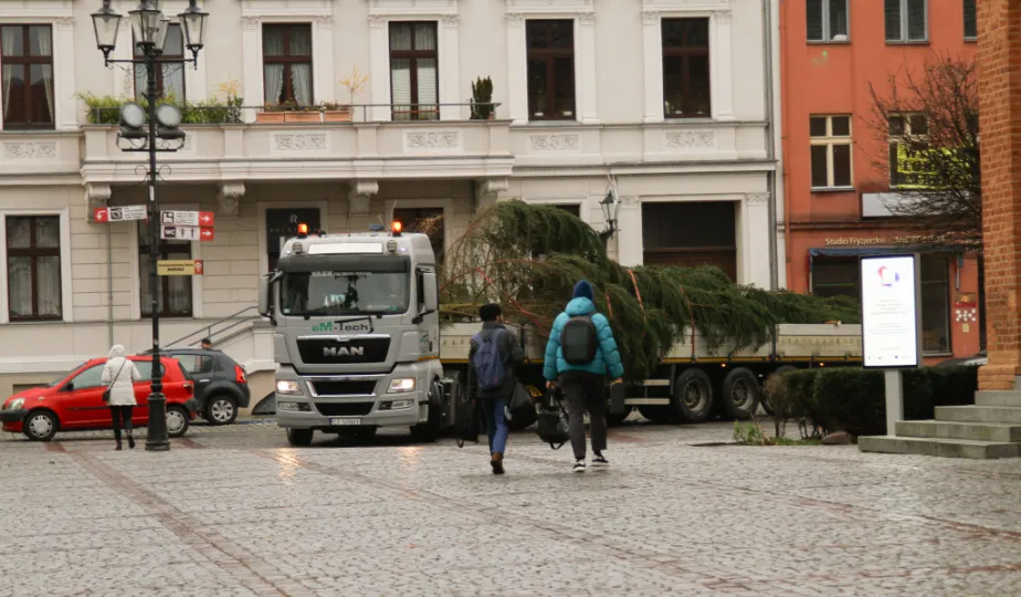 Montaż choinki bożonarodzeniowej, 29.11.2024 r.