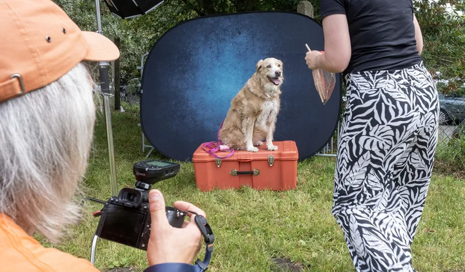 Piknik Przyjaciół Schroniska