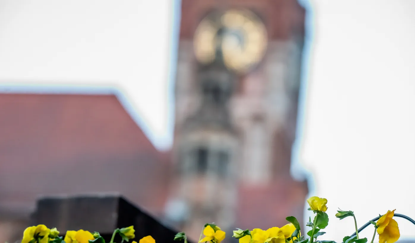 Wiosna na toruńskiej Starówce 