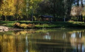 Jesień w Parku Miejskim na Bydgoskim Przedmieściu