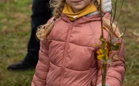 Sadzenie mikrolasu metodą Miyawaki