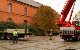 Montaż choinki bożonarodzeniowej, 29.11.2024 r.
