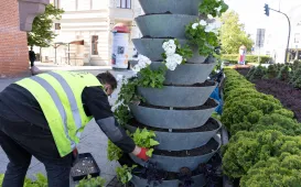 Nasadzenia kwiatów, 27.05.2025 r.