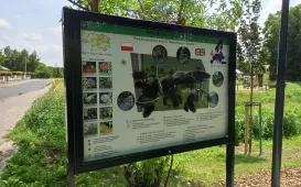 Angielski ogród