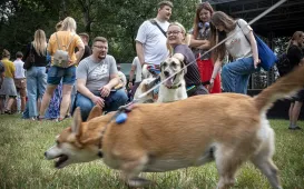 Piknik Przyjaciół Schroniska