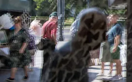 Dzień Solidarności z Osobami Chorującymi na Schizofrenię, 9.09.2025 r.