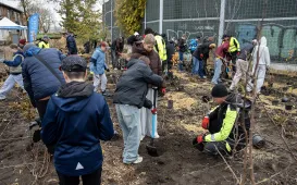 Trzeci mikrolas w Toruniu