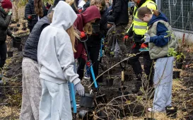 Trzeci mikrolas w Toruniu