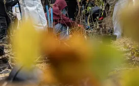 Trzeci mikrolas w Toruniu