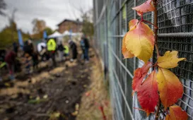 Trzeci mikrolas w Toruniu