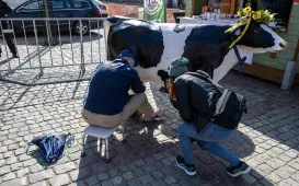 Bieg śniadaniowy z Adamem Kszczotem