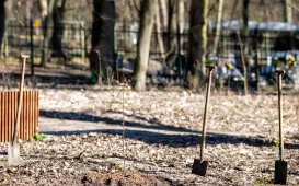Toruń liderem dostarczania czystego powietrza, 1.04.2026