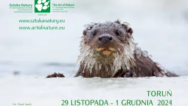 Plakat promujący festiwal