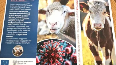 Uwaga na pryszczycę