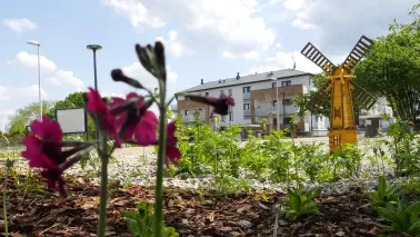 Parki kieszonkowe w Toruniu