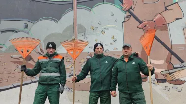 Liście na terenie miejskim zgłoś do MPO