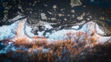 Inwentaryzacja przyrodnicza na zachodniej Winnicy