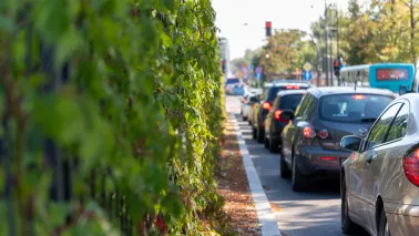 Będzie więcej zielonych przystanków