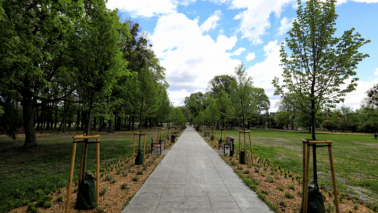 Na zdjęciu: alejka w zrewitalizowanym Parku Glazja