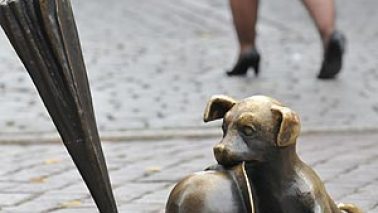 zdjęcie pomnika psa Filusia