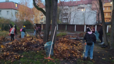 Na zdjęciu: młodzież sprzątająca opadłe liście