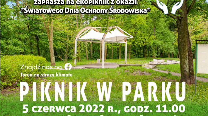 Piknik w parku -plakat z zielonym parkiem i amfiteatrem