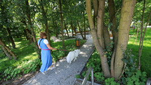 Kobieta w niebieskiej sukience z psem na smyczy wchodzi do parku