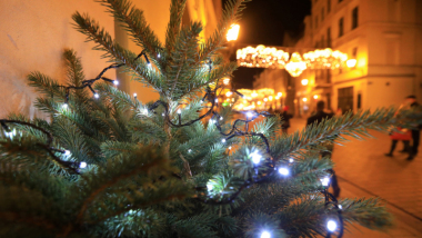 Gałązka świerku przybrana lampkami choinkowymi, w tle widać iluminację świąteczną na ul. Szerokiej