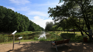 Na zdjęciu: zbiornik wodny Martówka w Parku Miejskim