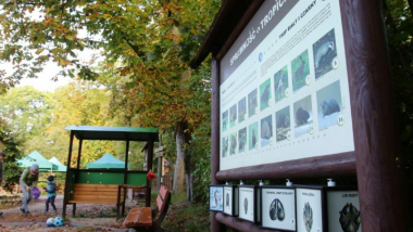 Na zdjęciu: tablica informacyjna i strefa wypoczynkowa w Leśnej Szkole na Barbarce