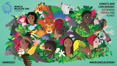 Plakat Światowego Dnia Dzikiej Przyrody 2021