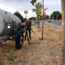 Toruń dba o zieleń w czasie suszy