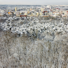 Widok z drona na ośnieżony Park Miejski i panoramę Torunia 
